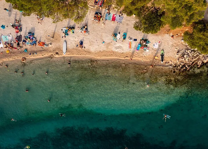 Meditandia - Premium Mobile House